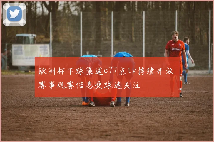 欧洲杯下球渠道c77点tv持续开放 赛事观赛信息受球迷关注